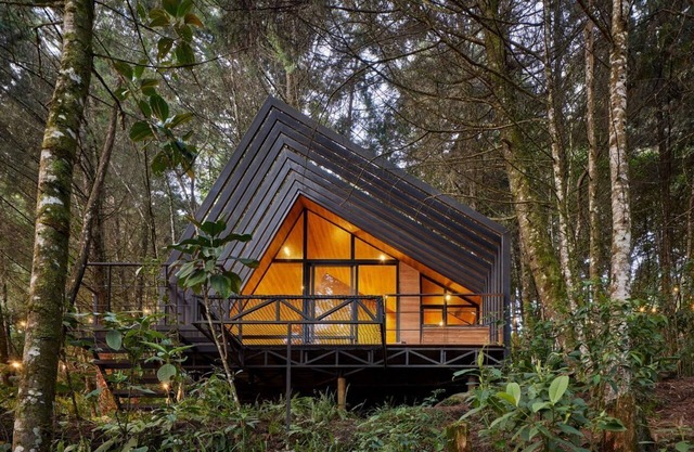 OCULTO REFUGIO DE BOSQUE