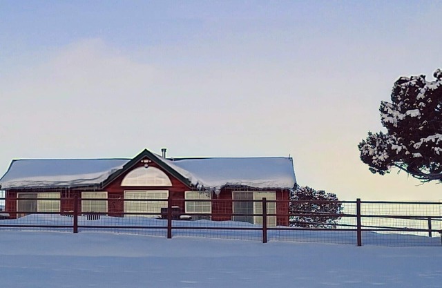 Off grid,fenced yard,.great views and pups stay free