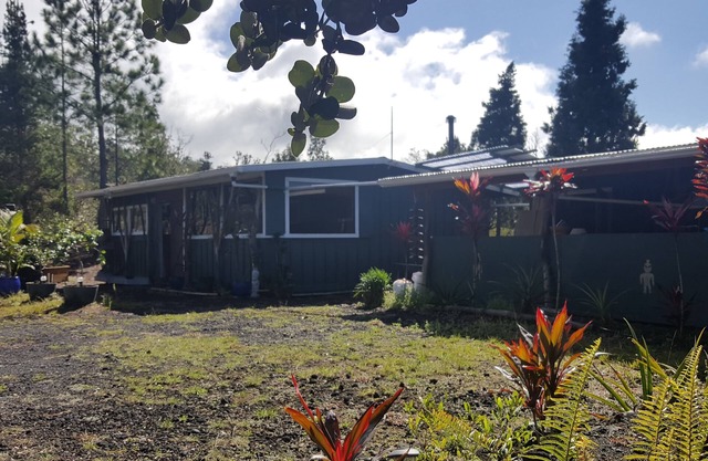Off grid house with almost 100 fruit and veg plants, close to green sand beaches