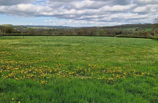 Old cow byre refurbished into a modern studio in an idyllic rural location.