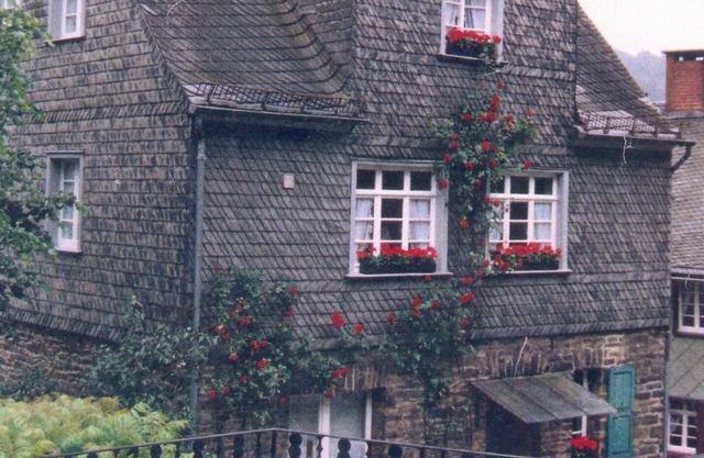 Old Direktorenhaus the silk factory