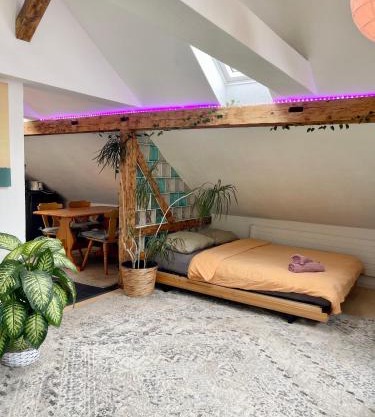 Old Farmhouse Loft near Vaduz