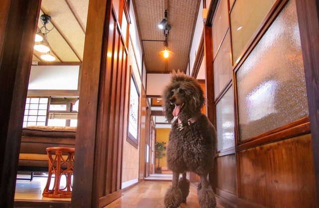 Old folk house with dog run/Imabari Ehime