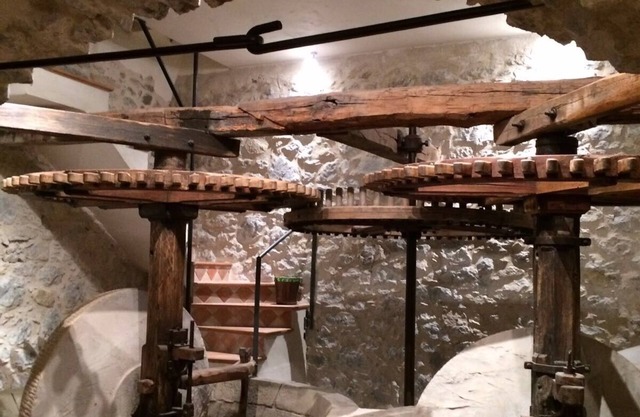 Old oil mill 25 km from Nice and 25 from the Mercantour park