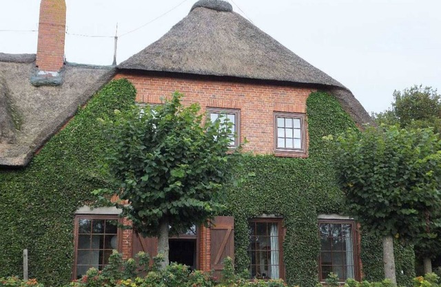 Old school Goting, southern class