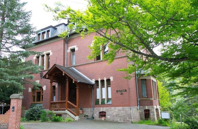 Old Villa Meisenheim - 4-bed apartment
