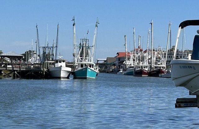 Old Village Mt. Pleasant/Alhambra Hall/Ocean Walk!