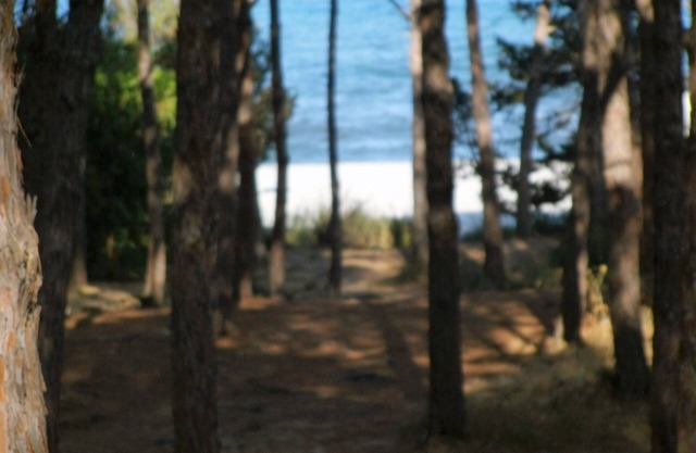 OLEANDER DIRECT BEACH ACCESS (NO WIFI) CIN IT091063C2000S5144
