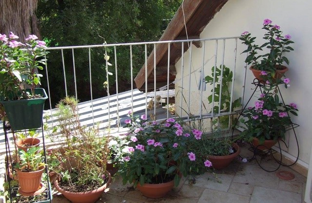 Olga Katz apartment