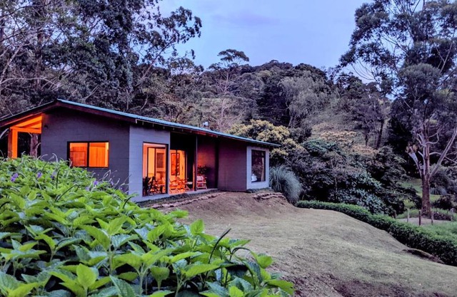 Olingo Monteverde