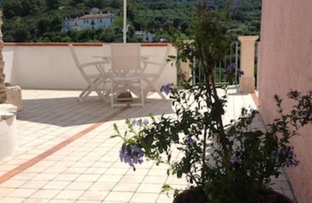 Olive tree - Apartments in old farmhouse