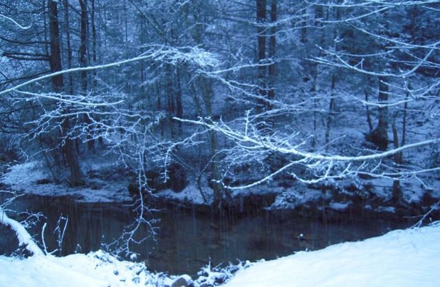 On a year-round creek with FREE High-Speed Wi-Fi! HOT TUB & Arcade game, 4 TVs