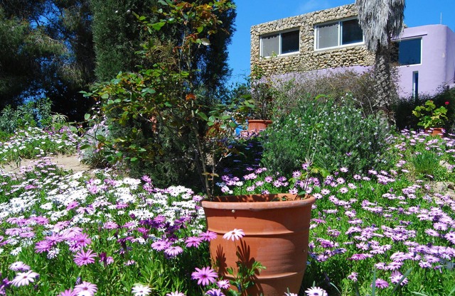 On the beach. Relaxing, private and peaceful
