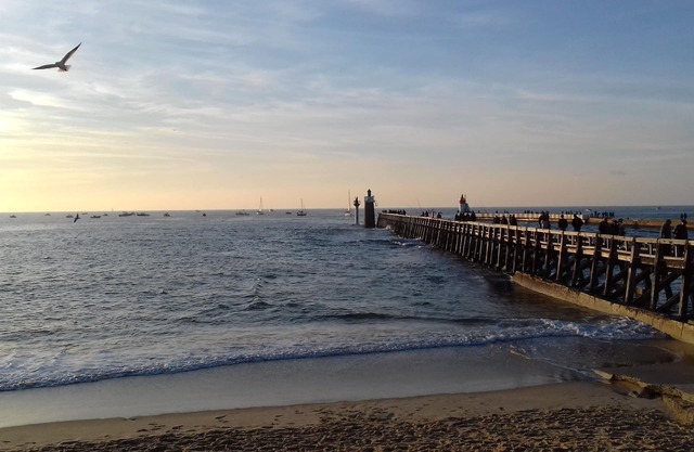 On the fishing and sailing port, Beaches at 400m; Shopping Capbreton Hossegor