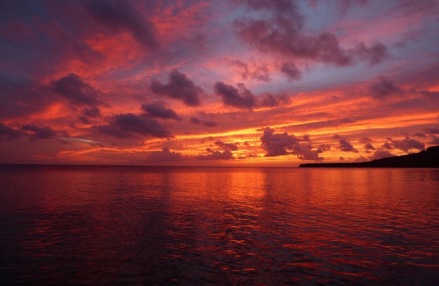 ON THE SEA! 2 beaches with an easy walk! Couples only! Private/natural/exclusive