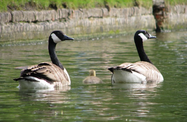 One bedroom apartment, a few steps from the river Cam and Cambridge Old Town