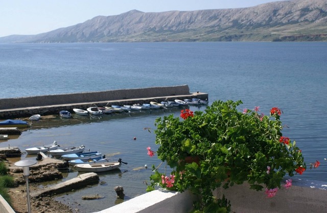 One bedroom apartment with terrace Zubovići, Pag (A-4130-d)