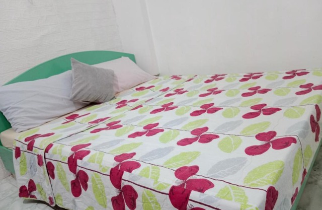 One Bedroom Apartment in Palompon