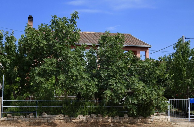 One bedroom apartment with terrace Gornji Karin, Novigrad (A-11806-a)