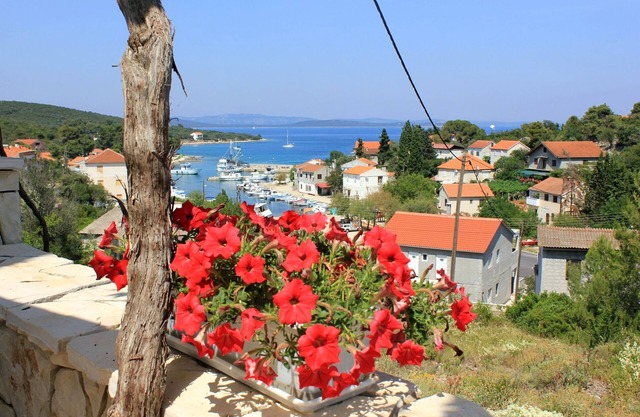 One bedroom apartment with terrace and sea view Žman, Dugi otok (A-887-c)