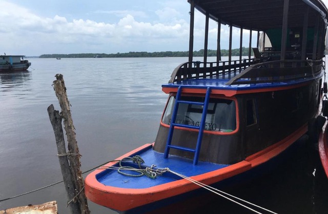 Orangutan Houseboat Park Tanjung Puting