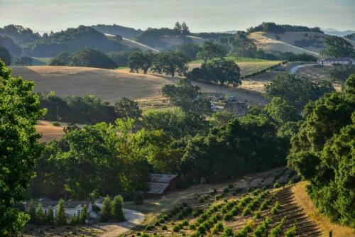 Orchard Hill Farm