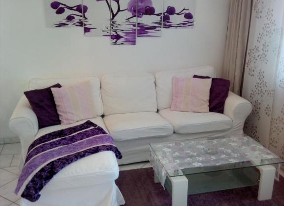 Orchidee