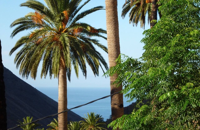 Original Canarian quiet romantic country house