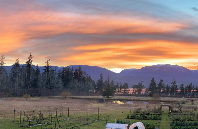 Otter Lake B&B, Denman Island, BC, Canadanfamily friendly, coastal