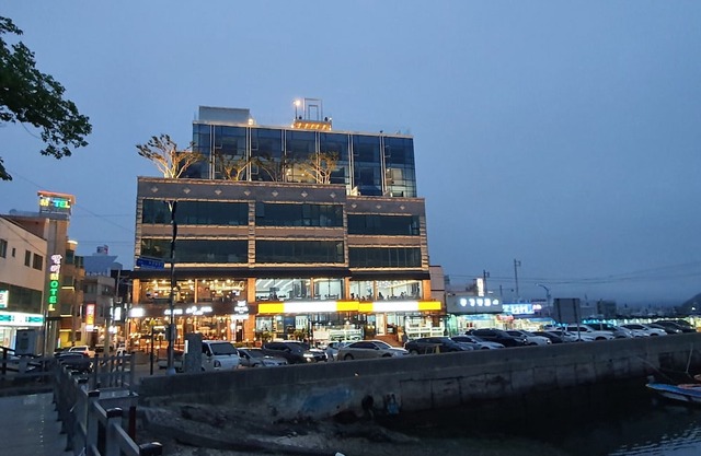 Owl Hotel 