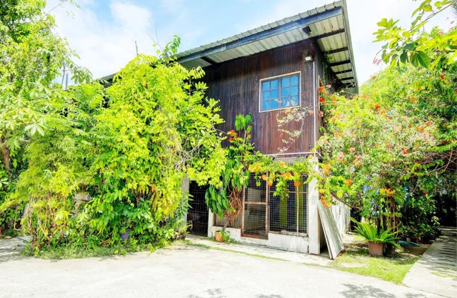 OYO HOME 90800 Rumah Pangi Homestay