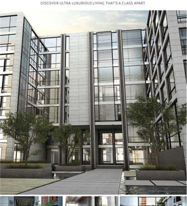 Oyster court Gulberg