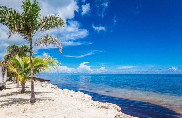 P41 - 135 Unit 4D Coco Plum