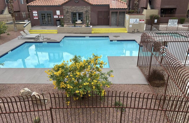 Pacific Harbor Dreams