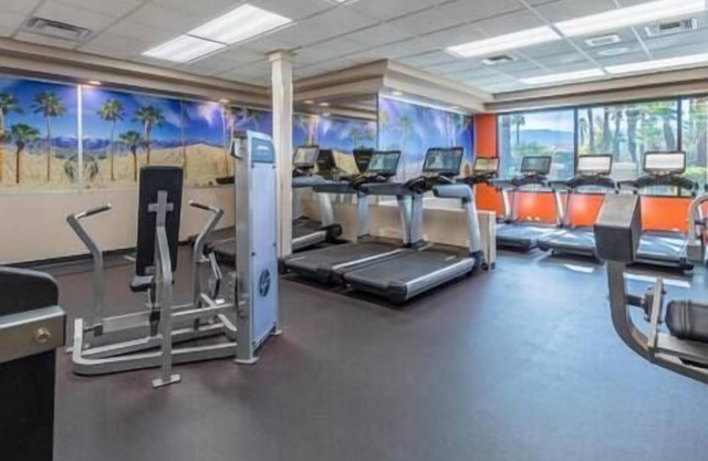 PALM DESERT MARRIOTT'S DESERT SPRINGS VILLAS-1BDRM