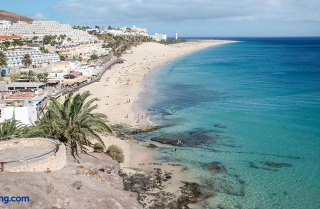 Palm Garden with sea views to the pools and beach