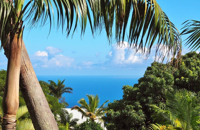 * PALM VILLA * - near Saint-Denis