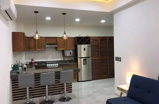 PALMAS DE CHAHUE 4 (474 SF)