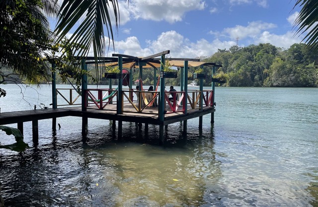 Palmeras del Río Hotel