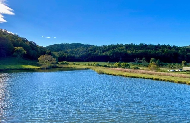 Panoramic views of Blue Ridge Mountains, large RV elec & water sites pondside