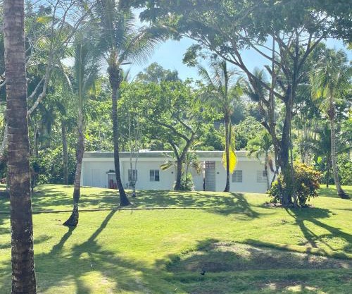 Papaya Casita - On an organic farm