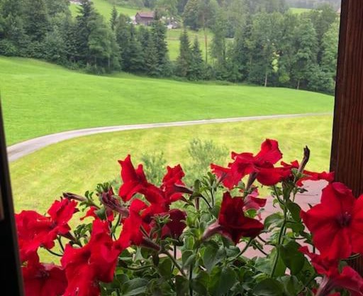 Paradies für Gäste mit Parkplatz und Frühstuck