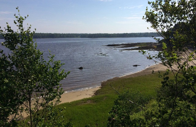 Paradise! Share our private peninsula & beach, vacation or year-round