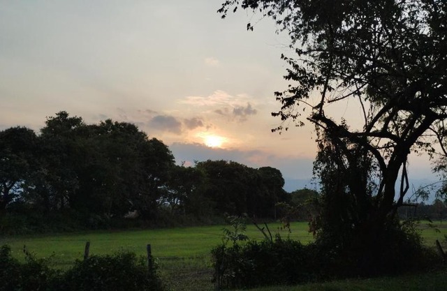 PARAISO CVS ARMERO GUAYABAL