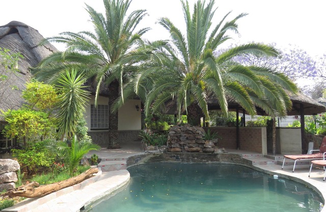 Parrot Lodge