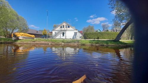 Pas Vytauta