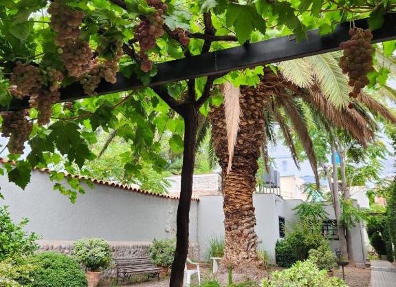 Paso de los Andes 1450 Mendoza Suites