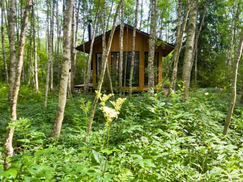 Paunküla Nature Villa
