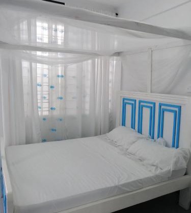 Peace Nest