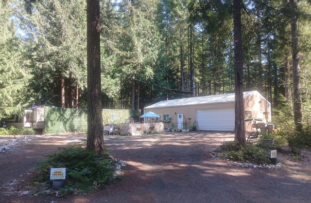 Peaceful 1-bedroom sleeps 4 cabin. Immerse yourself in tranquility.